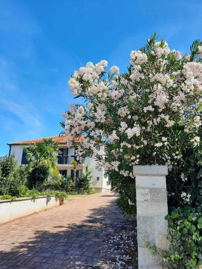 Apartments Palm House Ρόβινι Εξωτερικό φωτογραφία