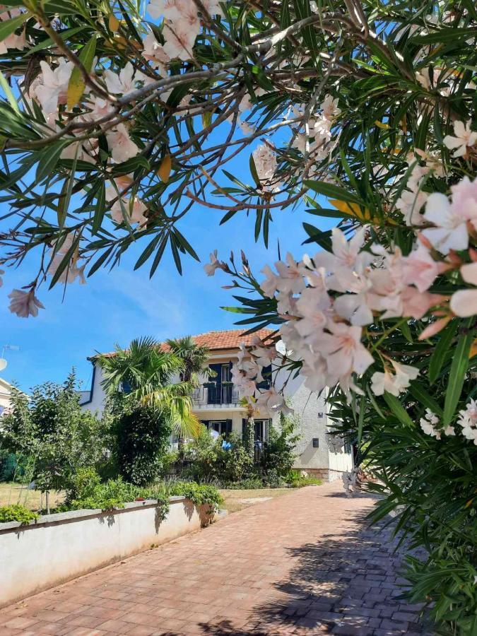 Apartments Palm House Ρόβινι Εξωτερικό φωτογραφία