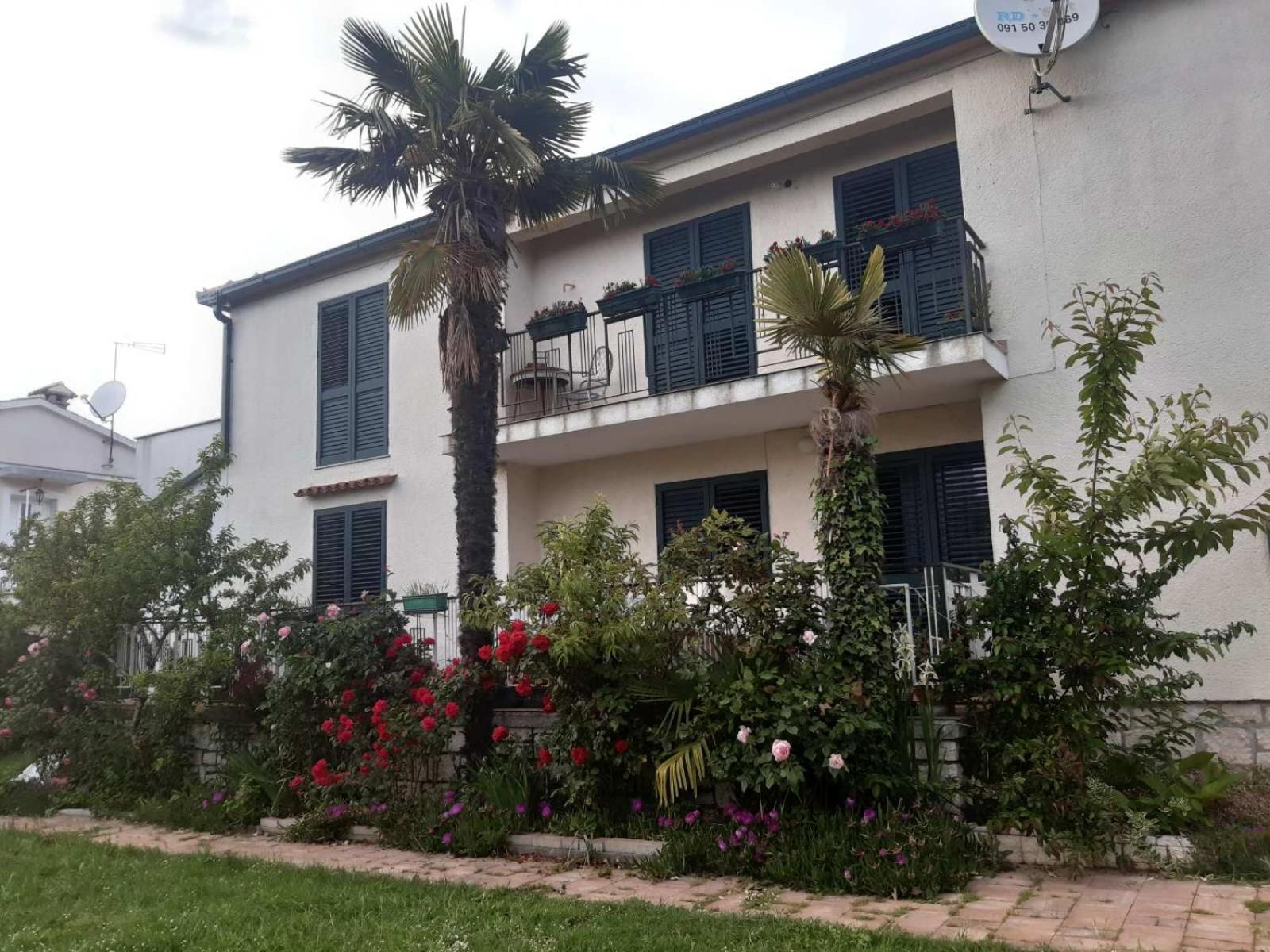 Apartments Palm House Ρόβινι Εξωτερικό φωτογραφία