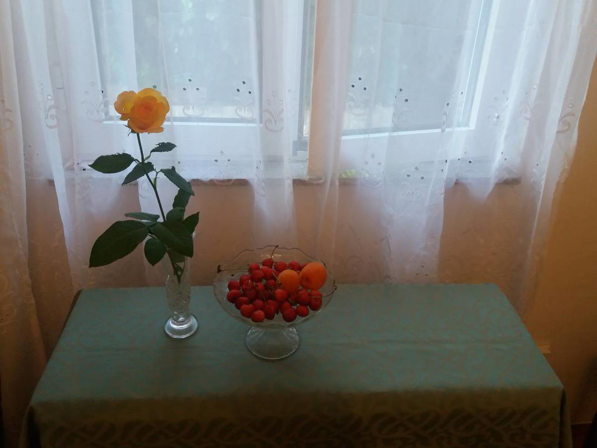 Apartments Palm House Ρόβινι Εξωτερικό φωτογραφία